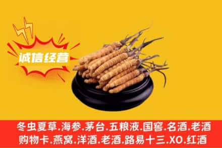 牡丹江东宁回收冬虫夏草